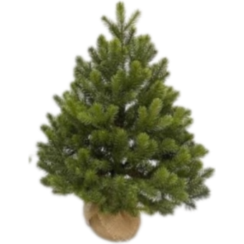 Можжевельник TRIUMPH TREE 100% литой 90 см в мешочке